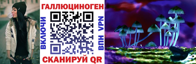 Псилоцибиновые грибы Psilocybe  Нелидово 
